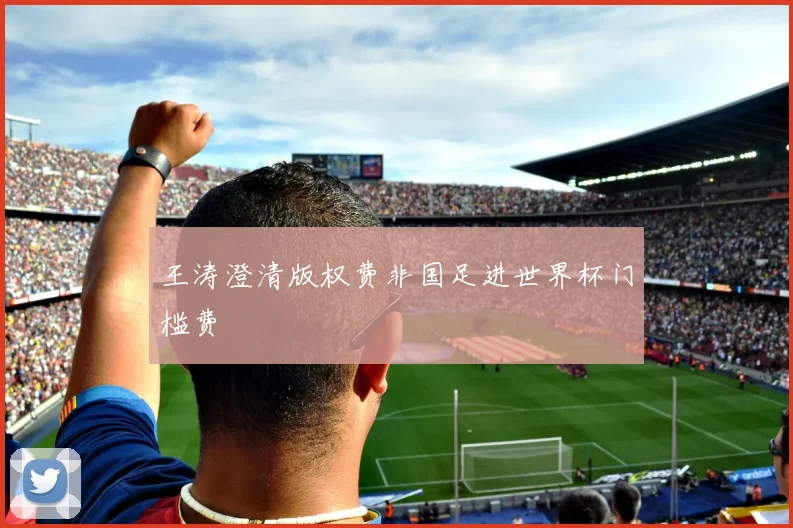 王涛澄清版权费非国足进世界杯门槛费